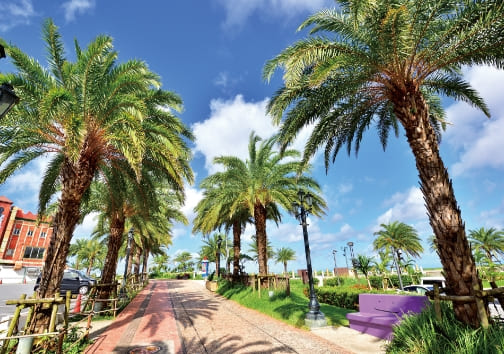 アメリカンビレッジの写真